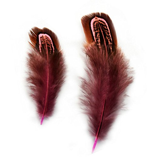 KOLIGHT Set of 50pcs Natural Dyed Pheasant Feathers 2-4 Inch DIY Decoration Clothing Accessories (Coffee)