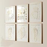 NATVVA Hand Foot Face Ear Reflexology Points Print Set of 6 Posters Refle-xology Chart Massage Therapy Wall Art Canvas Artwork Wall Decor Massage Clinic Decoration No Frame