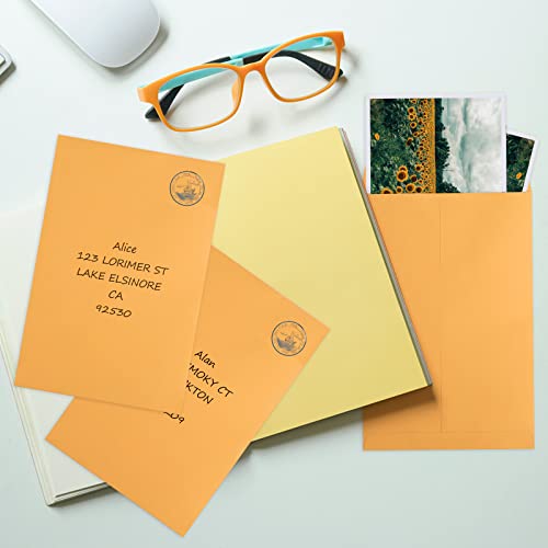 Eupako Catalog Envelopes 6X9 Small Brown Envelopes Self Seal 250 Pack For Mailing, Organizing, Storage #TOP5