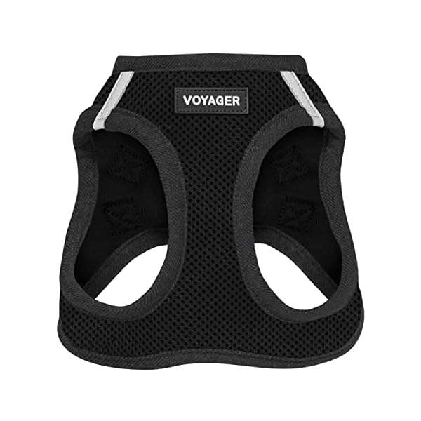 Voyager Step-in Air Dog Harness – All Weather Mesh Step in Vest Harness for Small and Medium Dogs by Best Pet Supplies – Harness (Black), Small Voyager Step-in Air Dog Harness – All Weather Mesh Step in Vest Harness for Small and Medium Dogs by Best Pet Supplies – Harness (Black), Small