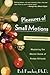 Pleasures of Small Motions: Mastering the Mental Game of Pocket Billiards