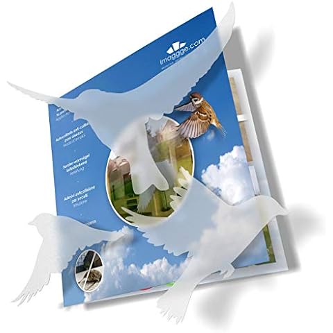 Autocollants Anti-Collision Oiseaux imaggge.com Cover