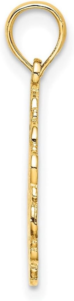 JewelryWeb 14k Gold Religious Judaica Star of David In Scalloped Circle Jewish 20.5mm long Pendant Necklace for Women - Image 3