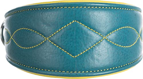 TRIXIE Active Komfort Windhunde Halsband Größe S–M: Halsumfang 33–42 cm/60 mm in petrol/gelb- extra breites Hundehalsband für kleine bis mittelgroße Hunde, schützt den Kehlbereich, unterfüttert,18968