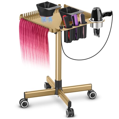 TASALON Gold Salon Tray on Wheels – Salon Rolling Tray Set with Magnetic Hair Dye Bowl, Heat-Resistant Tool Rack, Hair Extension Holder for Styling, Rolling Tool Cart & Hair Salon Station Organizer by TASALON - Used condition - US$63.99
