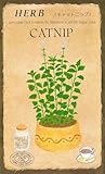 日光種苗のハーブ種 キャットニップのタネ