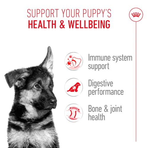 Image of Royal Canin German Shepherd Puppy Food, Dry Food, Supports Immune System & digestive health, Promotes Bone & Joint Health, 1 Kg