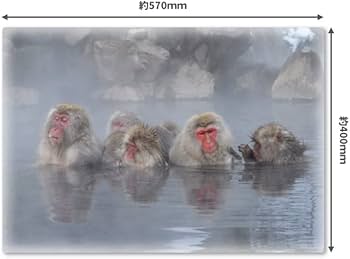 Amazon.co.jp: 温泉につかる猿【おふろポスター】マグネットシート製 Amazon.co.jp: 温泉につかる猿【おふろポスター】マグネットシート製