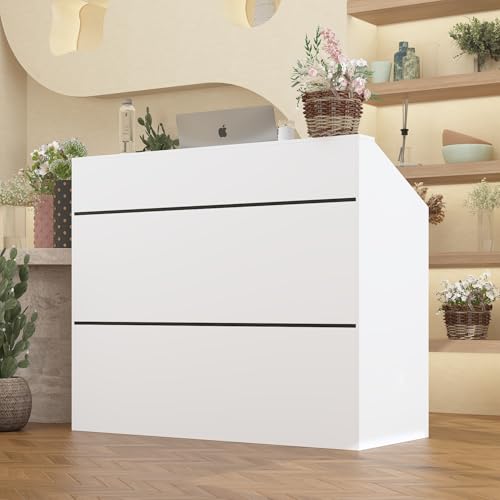 DEZAGCE Empfangstheke Empfangstresen Rezeptionstisch Empfangstresen Rezeptionstheke Empfangstheken Rezeptionstheken MDF 120 x 50 x 100 cm weiß Moderne Einfachheit