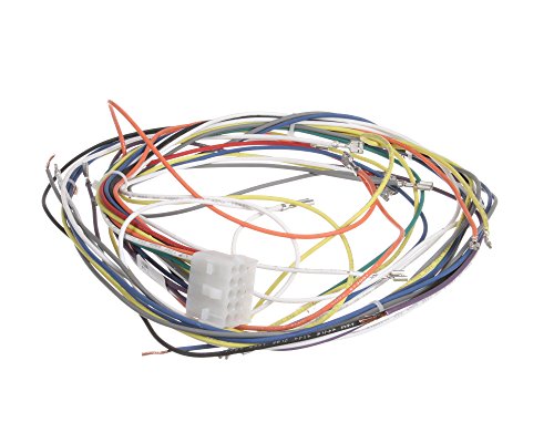 Câblage Blodgett 19306 harnais de commande faisceau électrique comp