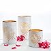 Gold & Garden White Lanterns Set
