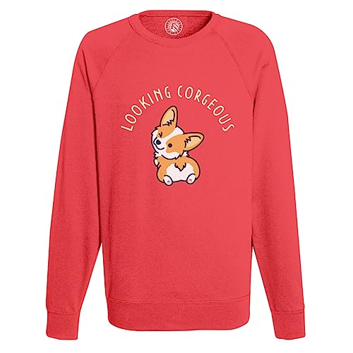 Sweatshirt Homme imprimé Corgi Dog pull animaux de compagnie mode