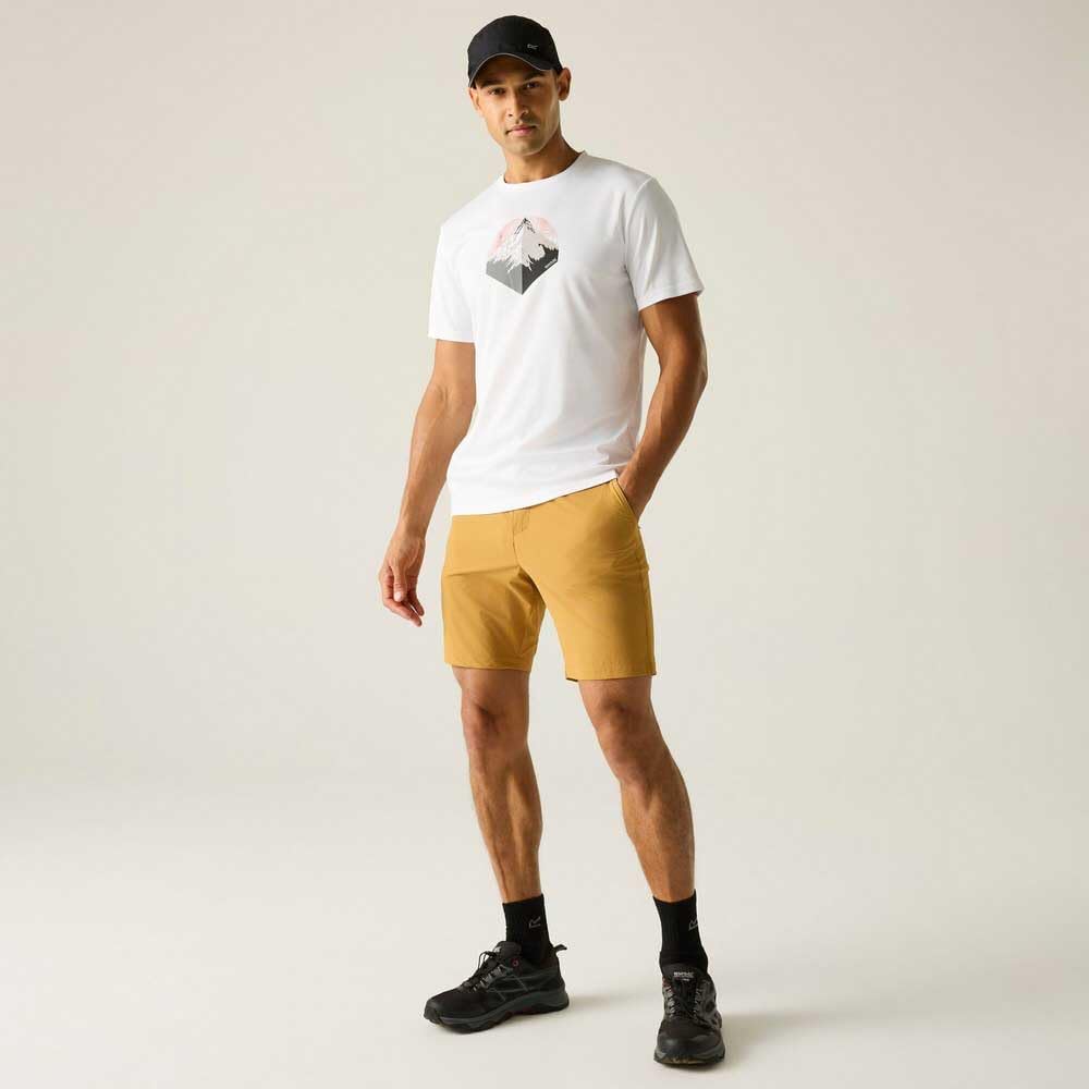 Regatta Herren Shorts A-insttvlltshts