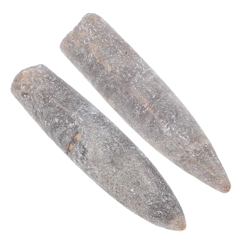 BUGUUYO 2pcs Ichlenite Specimen Belemnite Specimen Adornment for Education Home Decor and Geology Enthusiasts
