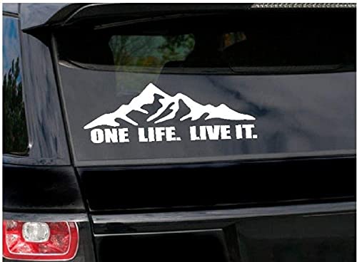 ONE Life Live IT CAR Sticker (B08W9Z6NBL) Amazon Price History, Amazon Price Tracker