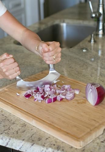 Image of Dayanadhi Professional 9.5 Inch Stainless Steel Pizza Cutter | Double Handle Multipurpose Slicer | Sharp Blade for Pizza Garlic Fruits Vegetables Mincing & Slicing (Silver, 1 Piece)