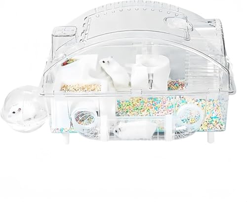 Xiraivke nX^[ P[W  vX`bN nX^[nEX r}bgt pCvt {gƉ񂵎ԕt DIY\ NAP[W  P[W ʋC g |₷  (ȐF)