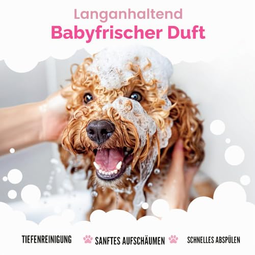 Baby Fresh Dog Shampoo von Buddycare - für müffelige Hunde ab 8 Wochen - Baby-Puder-duftendes Welpen-Shampoo mit Aloe Vera und Provitamin B5 (500ml x3)