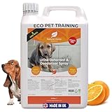 Natural Home Solutions Urine Deterrent & Deodoriser Big Value 5L Refill Urine Stop for Cat And Dog Repellent Stop Cats And Dogs Repeat Marking Indoors And Outdoors 100% Natural Enzyme Urine Destroyer - Image 1