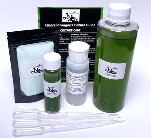 Complete Green Water (Chlorella vulgaris) Culture and Expansion Kit: One 8 oz Working Container One 1 oz Backup Container Harvesting Tools and Tap Water Conditioner - Live phytoplankton