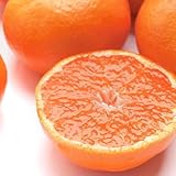 完熟有田みかん プレミアム 5kg