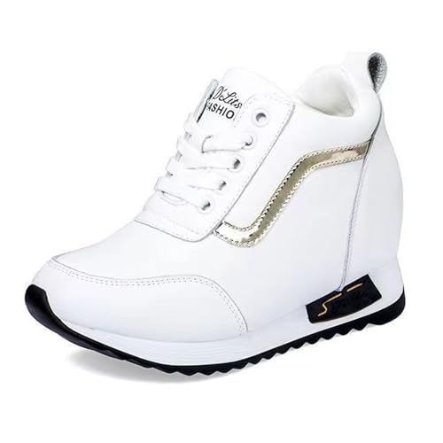 [Yizibuur] D^ r Xj[J[ r y EH[LOV[Y p ^C   5cmgAbv 23-25cm  ʋ