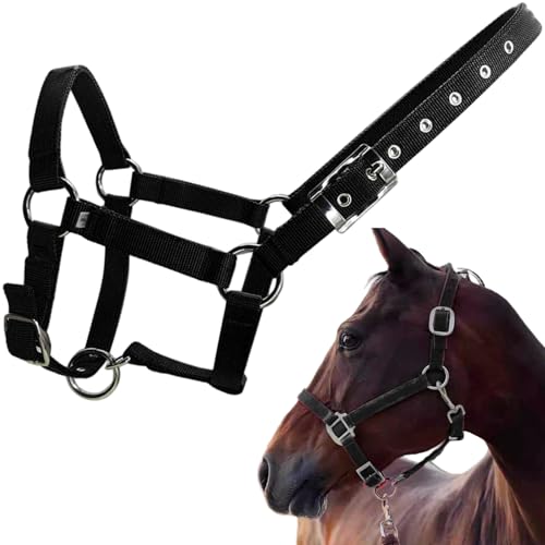 Cabestro de caballo ajustable de correas de PP negro en talla L con herrajes metálicos