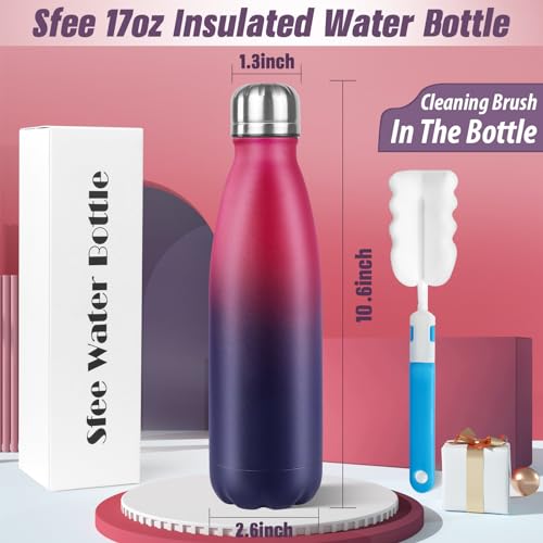 Image of Sfee Insulated Water Bottle, 17 oz Stainless Steel Water Bottles, Double Wall Vacuum Reusable Water Bottles Leak Proof BPA-FREE Sports Bottle Cup Keep Hot&Cold for Running Gym Workout Cycling Kids