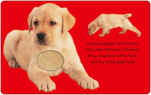 Image of Bright Baby Touch & Feel Baby Animals (Bright Baby Touch and Feel)