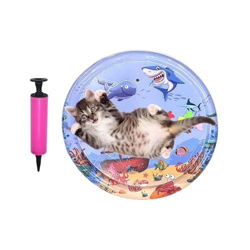 Tapis d'eau pour chats : partagez des moments de complicité en plein air