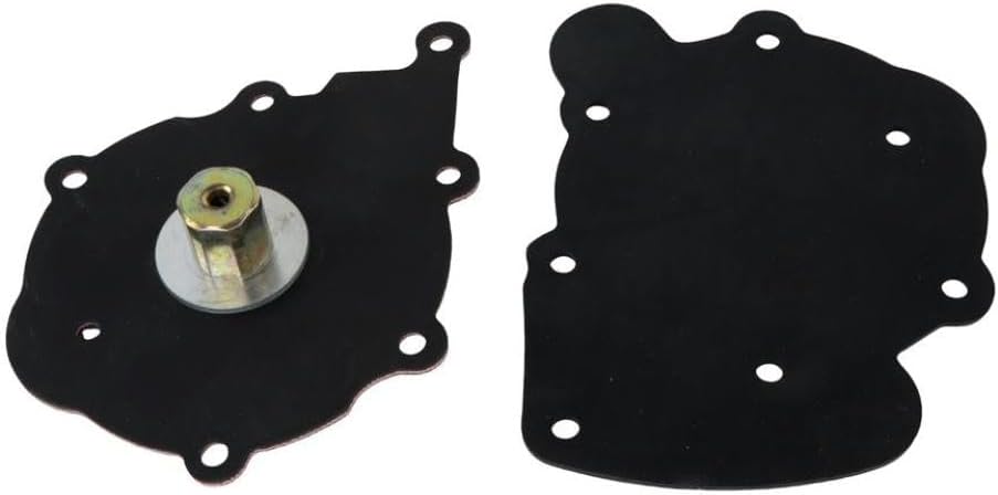 Reducer Repair Kit With Filter AT-09 Compatible With Tomasetto LPG Systems For Trucks Buses SUVs Car Repair Tools