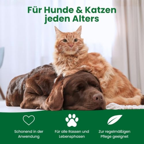 TraumaPet Ohrentropfen für Hunde & Katzen mit kolloidalem Silber, 50 ml – Ansicht 5