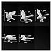 XKSO-QPTY Modèle de Construction Diorama - Table de Sable Bird Sand Modèle Jouet d'animaux Scène de Train Scène de Train Pigeon Building Farm Paysage 30pcs (Color : BIG Size)