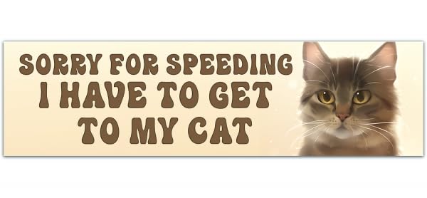 Funny Bumper Sticker - Sorry For Speeding, I Have To Get Home To My Cat - Cat Lady Bumper Sticker, Cat Car Decal, Car Sticker, I Love My Cat 00087