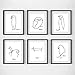 WLHRJ Art Poster 6x30x50cm Senza Cornice Minimalista Picasso Animali Pittura Stampe Line Drawing Scandinavo Canvas Art Picasso Poster Home Decor