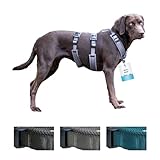 Petlando Sicherheitsgeschirr, ausbruchsicheres Hundegeschirr mit extra Bauchgurt, weich gepolstert mit Mesh, atmungsaktiv, robust, stufenlos verstellbar, Geschirr für kleine Hunde, Petrol, S