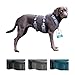 Petlando Sicherheitsgeschirr, ausbruchsicheres Hundegeschirr mit extra Bauchgurt, weich gepolstert mit Mesh, atmungsaktiv, robust, stufenlos verstellbar, Geschirr für kleine Hunde, Petrol, S