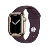 41VQC3YpVGL. SS100 Apple-Watch-Series-7-GPS-Cellular-41mm-Gold-Stainless-Steel-Case-with-Dark-Cherry-Sport-Band-Regular-Renewed