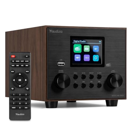 Audizio Vieste DAB Radio Digitale con Bluetooth, Subwoofer Integrato, DAB+, Radio FM, Riproduzione MP3 USB, Display TFT a colori, Sveglia e Sleep Timer, Finitura Legno, Altoparlante 60W, Telecomando