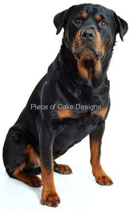 rottweiler cupcakes
