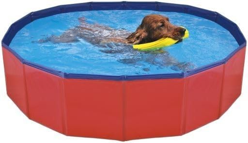 | Piscina para perros fabricada con plástico resistente y paredes reforzadas para mayor estabilidad.