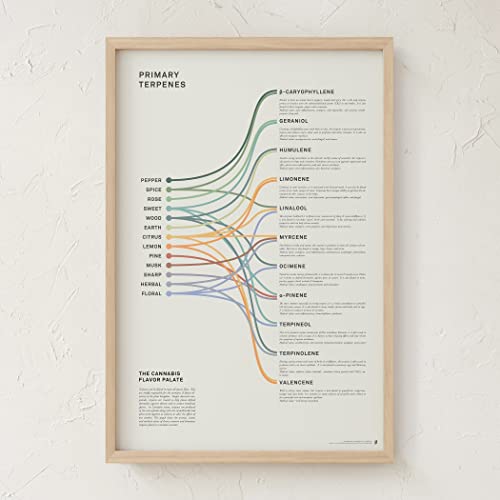 Goldleaf Primary Terpenes Art Print: The Cannabis Flavor Palate Infographic Chart, Terpene Poster, Marijuana Flavors Infographic, Elevated Stoner Decor, Weed Chart Wall Art (24X36") #TOP4