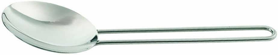 Eva Trio Stainless Steel Spoon, Small
