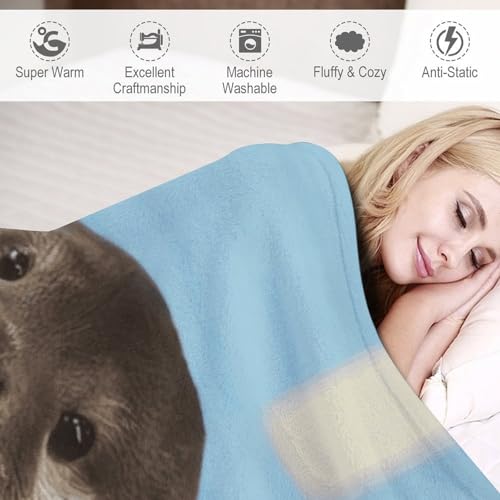Couverture polaire douce plaid flanelle loutre pour lit toutes saisons