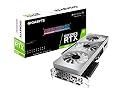 RTX 3090 VISION OC