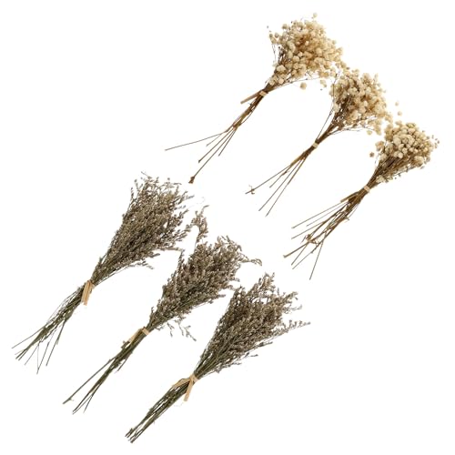 Set de 6 ramos secos de Gypsophila para decoración miniatura 1