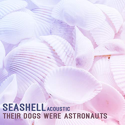 Seashell (Acoustic Version) by Their Dogs Were Astronauts on Amazon ...