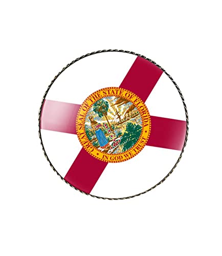 Image of vmcoatdu Round 1 Inch South Carolina Flag Pin Brooch Metal and Inlay Glass Revivalism Style Souvenir Badge Brooch for Hat Clothes Backpack