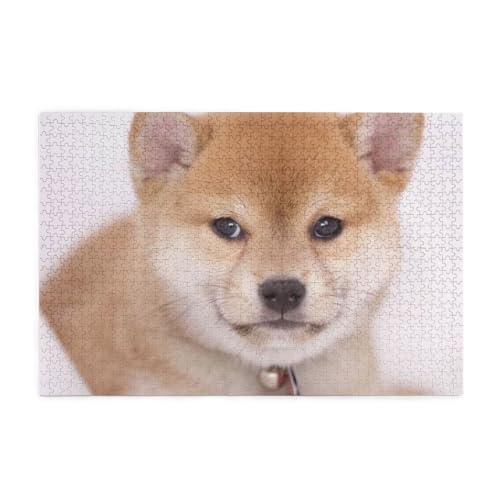 犬柄 おも動物13 1000ピース ジグソーパズル 大人向け難しい 破片なし カチっとハマる 誕生日 おしゃれ インテリア ギフトハウス (75×50cm)
