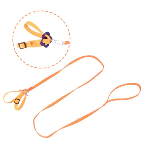 TEHAUX �y�b�g�p�������[�v 8���^�\�� �� �n���X�^�[ �J�� �g�J�Q�Ή� �U�� �p�[�e�B�[�p 1��